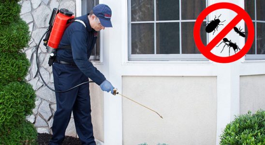 Suruç Karınca İlaçlama böcek ilaçlama ve haşere kontrolü — ilaclama-tr.com